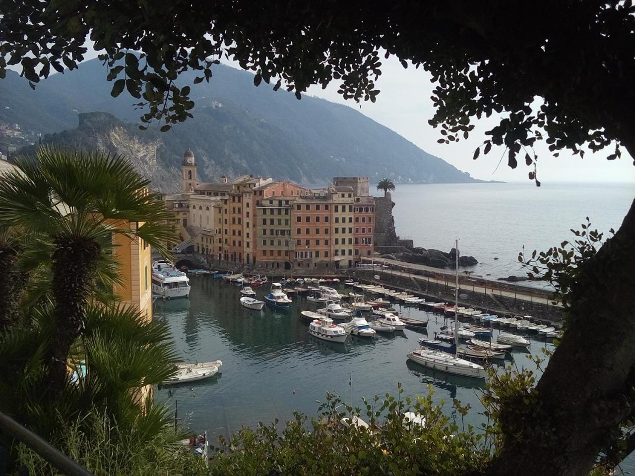 Casa Teresina A Camogli Leilighet Eksteriør bilde