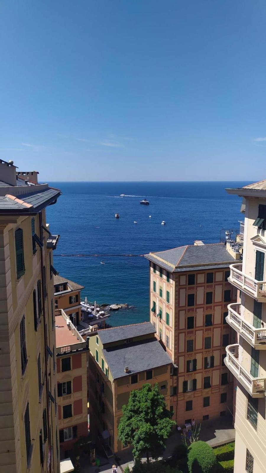 Casa Teresina A Camogli Leilighet Eksteriør bilde